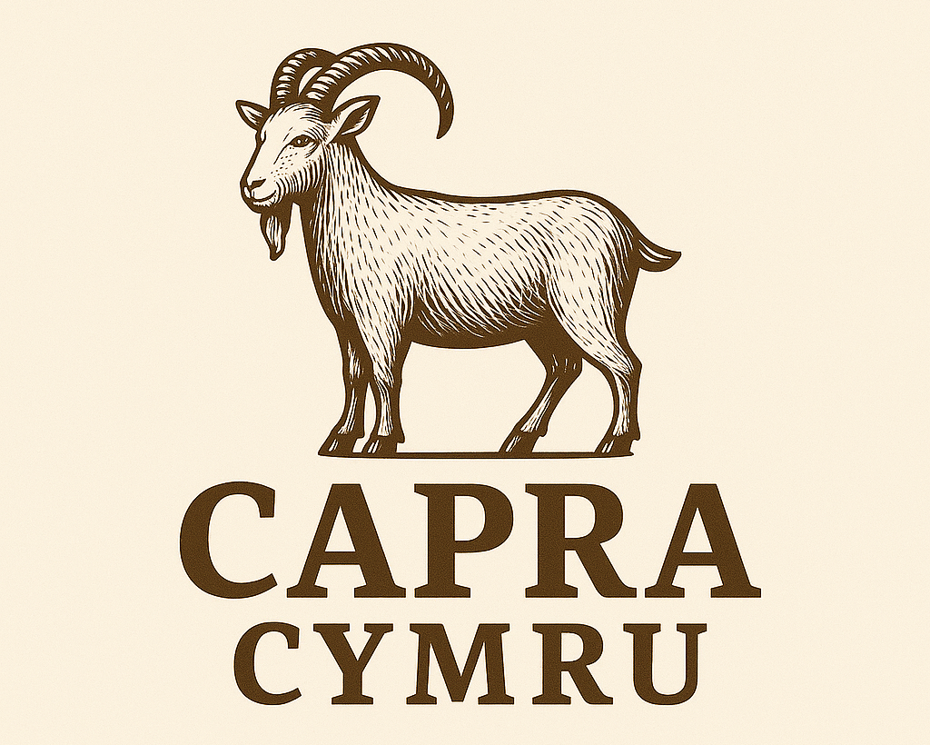 Capra Cymru